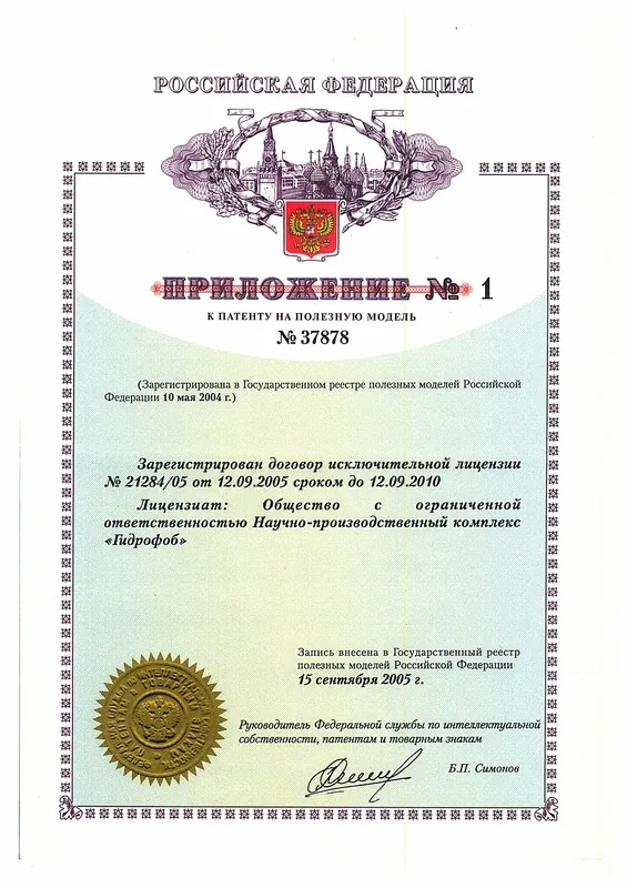 Сертификат, диплом или патент 2