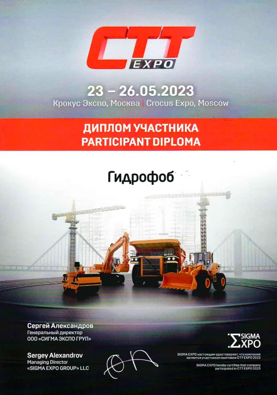 Сертификат, диплом или патент 3