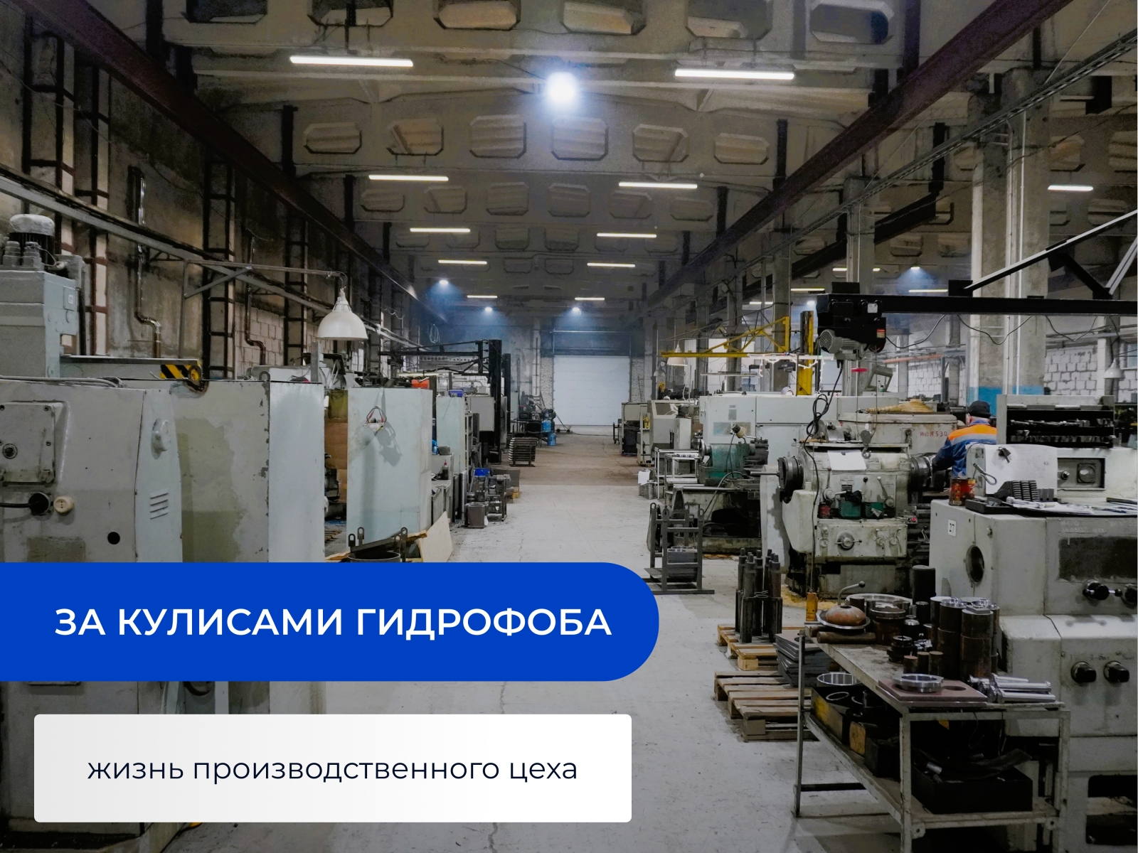 За кулисами Гидрофоба: жизнь производственного цеха